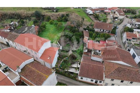 Villa i Coimbra, Coimbra, Coimbra - € 77.000 | Ref: HMCAS_42 - foto 36