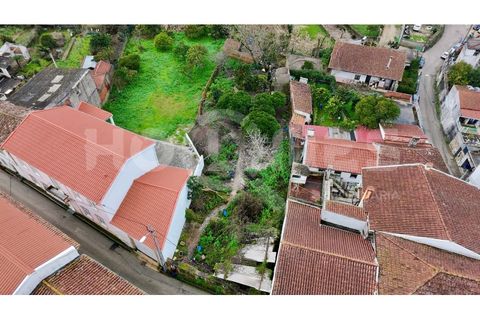 Villa i Coimbra, Coimbra, Coimbra - € 77.000 | Ref: HMCAS_42 - foto 37