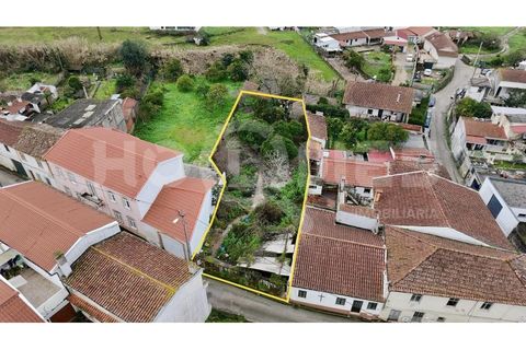 Villa i Coimbra, Coimbra, Coimbra - € 77.000 | Ref: HMCAS_42 - foto 3