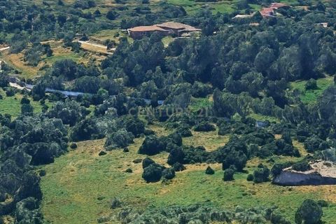 Helårsgrund i Estombar, Faro, Estombar - € 1.450.000 | Ref: C0222-06605 - foto 3
