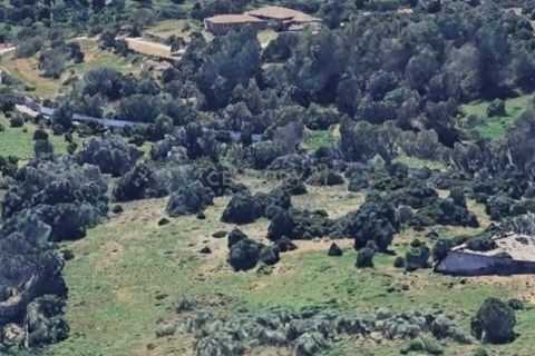 Helårsgrund i Estombar, Faro, Estombar - € 1.450.000 | Ref: C0222-06605 - foto 5