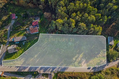 Helårsgrund i Barcelos, Braga, Barcelos - € 585.000 | Ref: C0257-01419 - foto 8