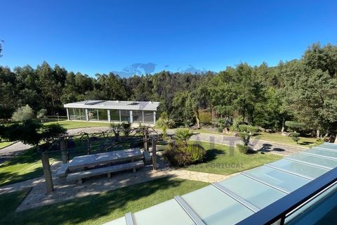 Villa i Ponte de Lima, Viana do Castelo, Ponte de Lima - € 1.300.000 | Ref: CAS_43 - foto 39