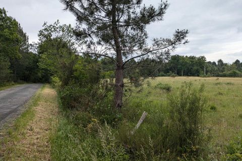 Helårsgrund i Cercoux, Charente-Maritime, Cercoux - € 100.000 | Ref: 426291WIC - foto 6