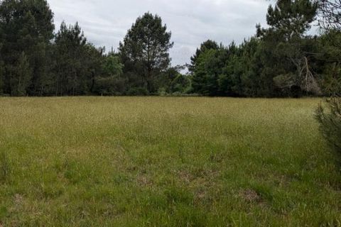 Helårsgrund i Cercoux, Charente-Maritime, Cercoux - € 100.000 | Ref: 426291WIC - foto 7