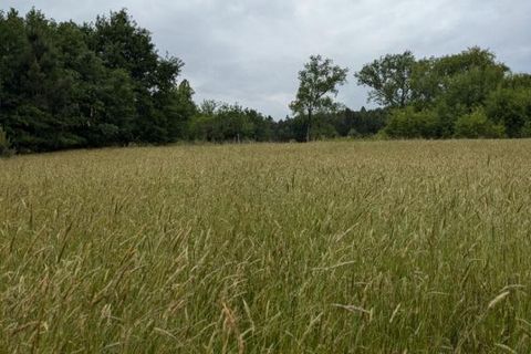 Helårsgrund i Cercoux, Charente-Maritime, Cercoux - € 100.000 | Ref: 426291WIC - foto 10