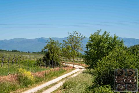 Villa i Bucine, Arezzo, Bucine - € 950.000 | Ref: v61696-x - foto 16