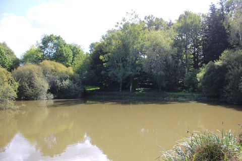 Villa i Chabrac, Charente, Chabrac - € 338.600 | Ref: 417464PCOQ - foto 11