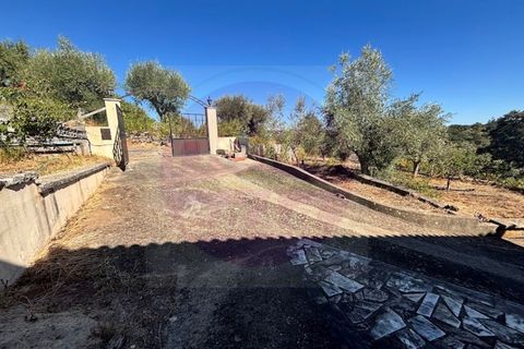 Villa i Tomar, Santarem, Tomar - € 245.000 | Ref: M 470 - foto 4