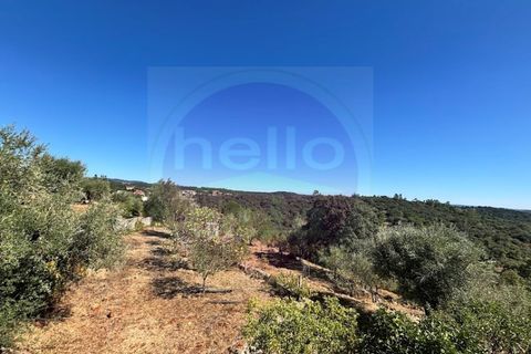 Villa i Tomar, Santarem, Tomar - € 245.000 | Ref: M 470 - foto 31