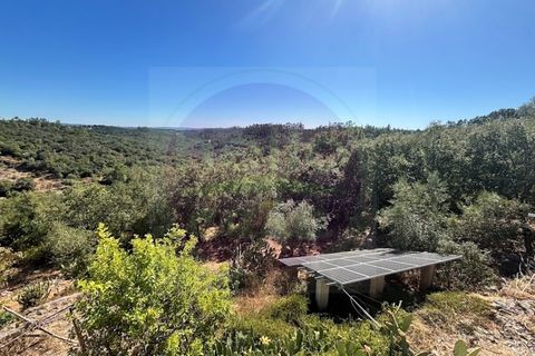 Villa i Tomar, Santarem, Tomar - € 245.000 | Ref: M 470 - foto 32