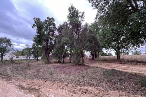 Helårsgrund i Tomar, Santarem, Tomar - € 45.000 | Ref: T 317 - foto 1