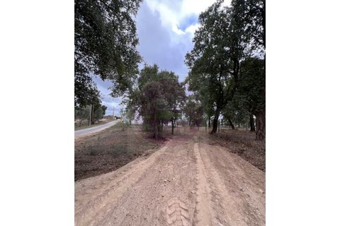 Helårsgrund i Tomar, Santarem, Tomar - € 45.000 | Ref: T 317 - foto 2