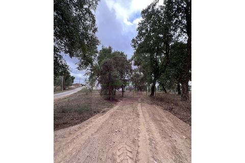 Helårsgrund i Tomar, Santarem, Tomar - € 45.000 | Ref: T 317 - foto 3