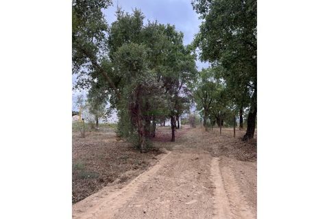 Helårsgrund i Tomar, Santarem, Tomar - € 45.000 | Ref: T 317 - foto 4
