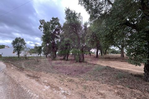 Helårsgrund i Tomar, Santarem, Tomar - € 45.000 | Ref: T 317 - foto 5