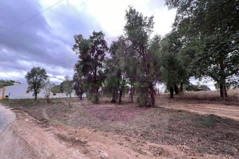 Helårsgrund i Tomar, Santarem, Tomar - € 45.000 | Ref: T 317 - foto 6