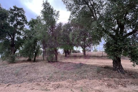 Helårsgrund i Tomar, Santarem, Tomar - € 45.000 | Ref: T 317 - foto 7
