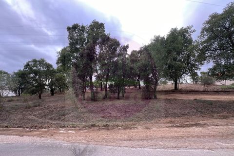 Helårsgrund i Tomar, Santarem, Tomar - € 45.000 | Ref: T 317 - foto 8