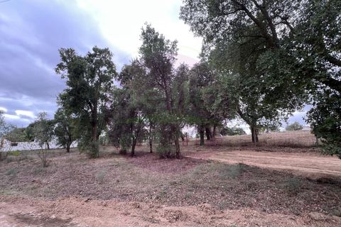 Helårsgrund i Tomar, Santarem, Tomar - € 45.000 | Ref: T 317 - foto 9