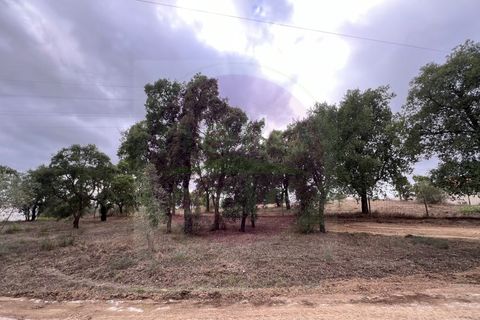 Helårsgrund i Tomar, Santarem, Tomar - € 45.000 | Ref: T 317 - foto 10