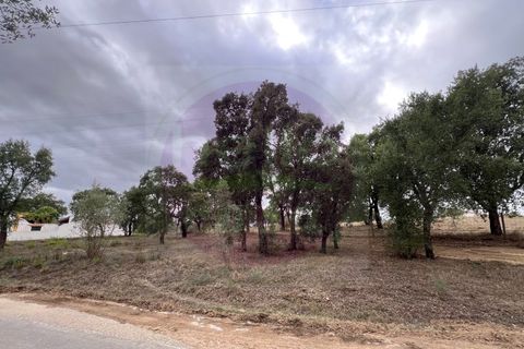 Helårsgrund i Tomar, Santarem, Tomar - € 45.000 | Ref: T 317 - foto 11