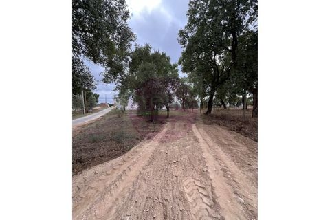 Helårsgrund i Tomar, Santarem, Tomar - € 45.000 | Ref: T 317 - foto 12
