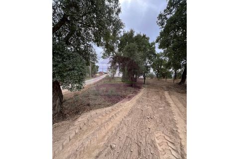 Helårsgrund i Tomar, Santarem, Tomar - € 45.000 | Ref: T 317 - foto 13