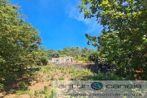 Helårsgrund i Arcos de Valdevez, Viana do Castelo, Arcos de Valdevez - € 70.000 | Ref: 7182 - foto 4