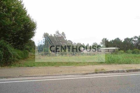 Helårsgrund i Vagos, Aveiro, Vagos - € 35.000 | Ref: C2526 - foto 1