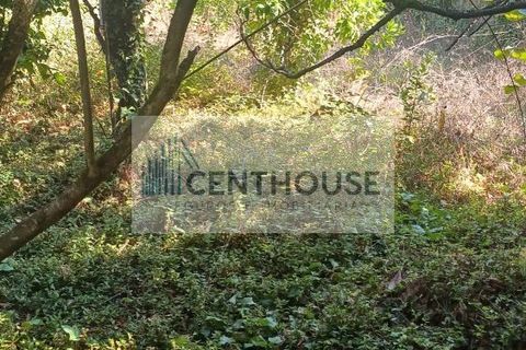 Villa i Cantanhede, Coimbra, Cantanhede - € 80.000 | Ref: C2528 - foto 9