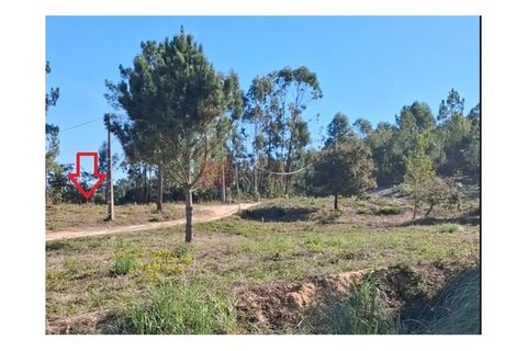 Helårsgrund i Mafra, Lisbon, Mafra - € 225.000 | Ref: TUAR - foto 2