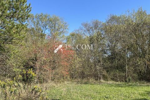 Terra a Salindres, Gard, Salindres - € 19.000 | Ref: 128_36900 - foto 2