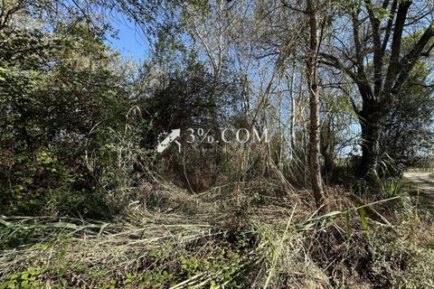 Terra a Salindres, Gard, Salindres - € 19.000 | Ref: 128_36900 - foto 3
