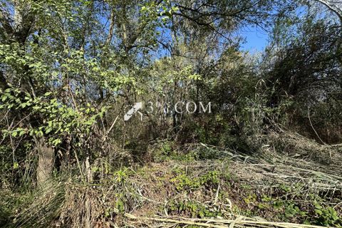 Terra a Salindres, Gard, Salindres - € 19.000 | Ref: 128_36900 - foto 4