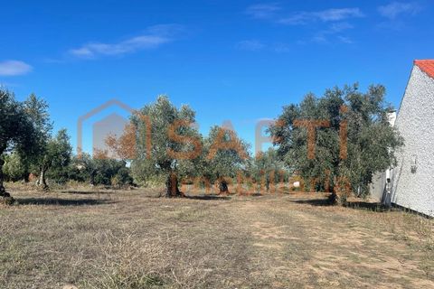 Helårsgrund i Tomar, Santarem, Tomar - € 35.000 | Ref: SAFTI:007358 - foto 2