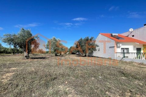 Helårsgrund i Tomar, Santarem, Tomar - € 35.000 | Ref: SAFTI:007358 - foto 3