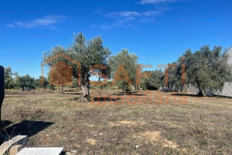 Helårsgrund i Tomar, Santarem, Tomar - € 35.000 | Ref: SAFTI:007358 - foto 4