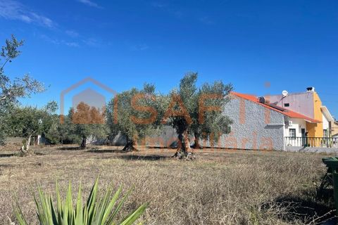 Helårsgrund i Tomar, Santarem, Tomar - € 35.000 | Ref: SAFTI:007358 - foto 5