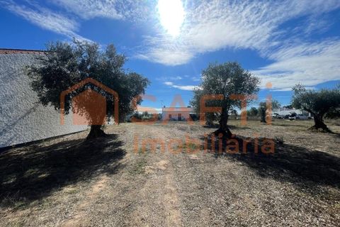 Helårsgrund i Tomar, Santarem, Tomar - € 35.000 | Ref: SAFTI:007358 - foto 6