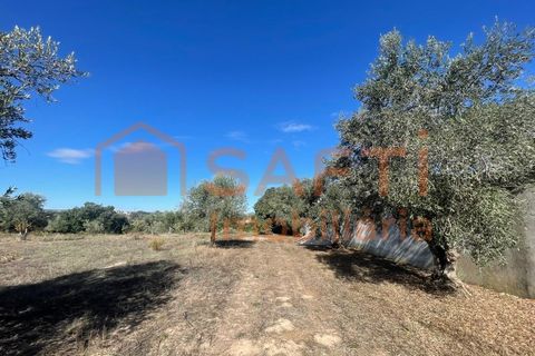 Helårsgrund i Tomar, Santarem, Tomar - € 35.000 | Ref: SAFTI:007358 - foto 7