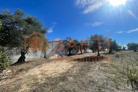 Helårsgrund i Tomar, Santarem, Tomar - € 35.000 | Ref: SAFTI:007358 - foto 9