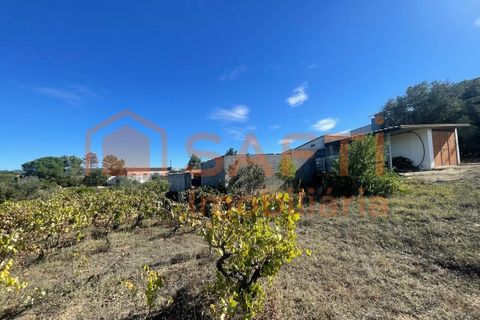Helårsgrund i Tomar, Santarem, Tomar - € 35.000 | Ref: SAFTI:007358 - foto 10