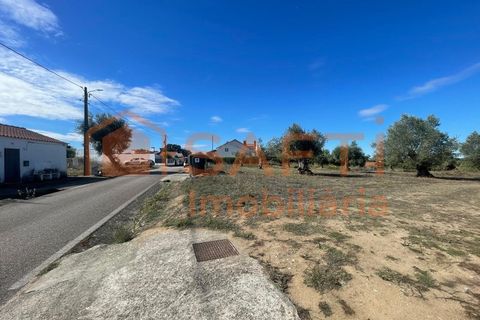Helårsgrund i Tomar, Santarem, Tomar - € 35.000 | Ref: SAFTI:007358 - foto 12