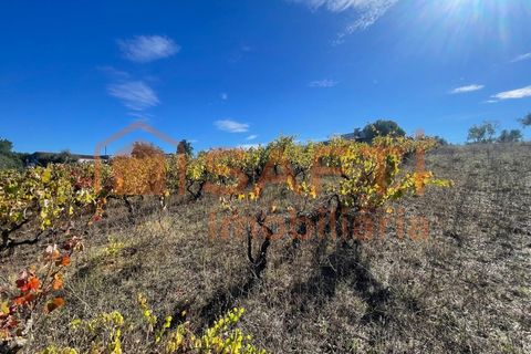 Helårsgrund i Tomar, Santarem, Tomar - € 35.000 | Ref: SAFTI:007358 - foto 20