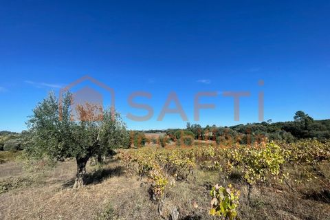Helårsgrund i Tomar, Santarem, Tomar - € 35.000 | Ref: SAFTI:007358 - foto 22