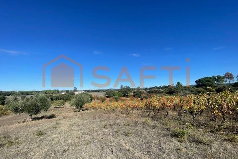 Helårsgrund i Tomar, Santarem, Tomar - € 35.000 | Ref: SAFTI:007358 - foto 23