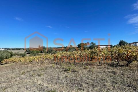 Helårsgrund i Tomar, Santarem, Tomar - € 35.000 | Ref: SAFTI:007358 - foto 24