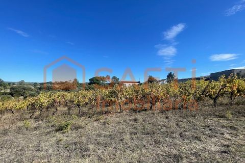 Helårsgrund i Tomar, Santarem, Tomar - € 35.000 | Ref: SAFTI:007358 - foto 25