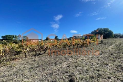 Helårsgrund i Tomar, Santarem, Tomar - € 35.000 | Ref: SAFTI:007358 - foto 26